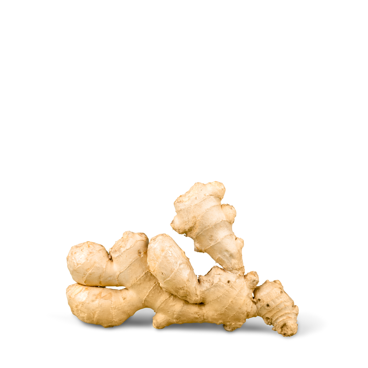 Ada / Ginger - 250g