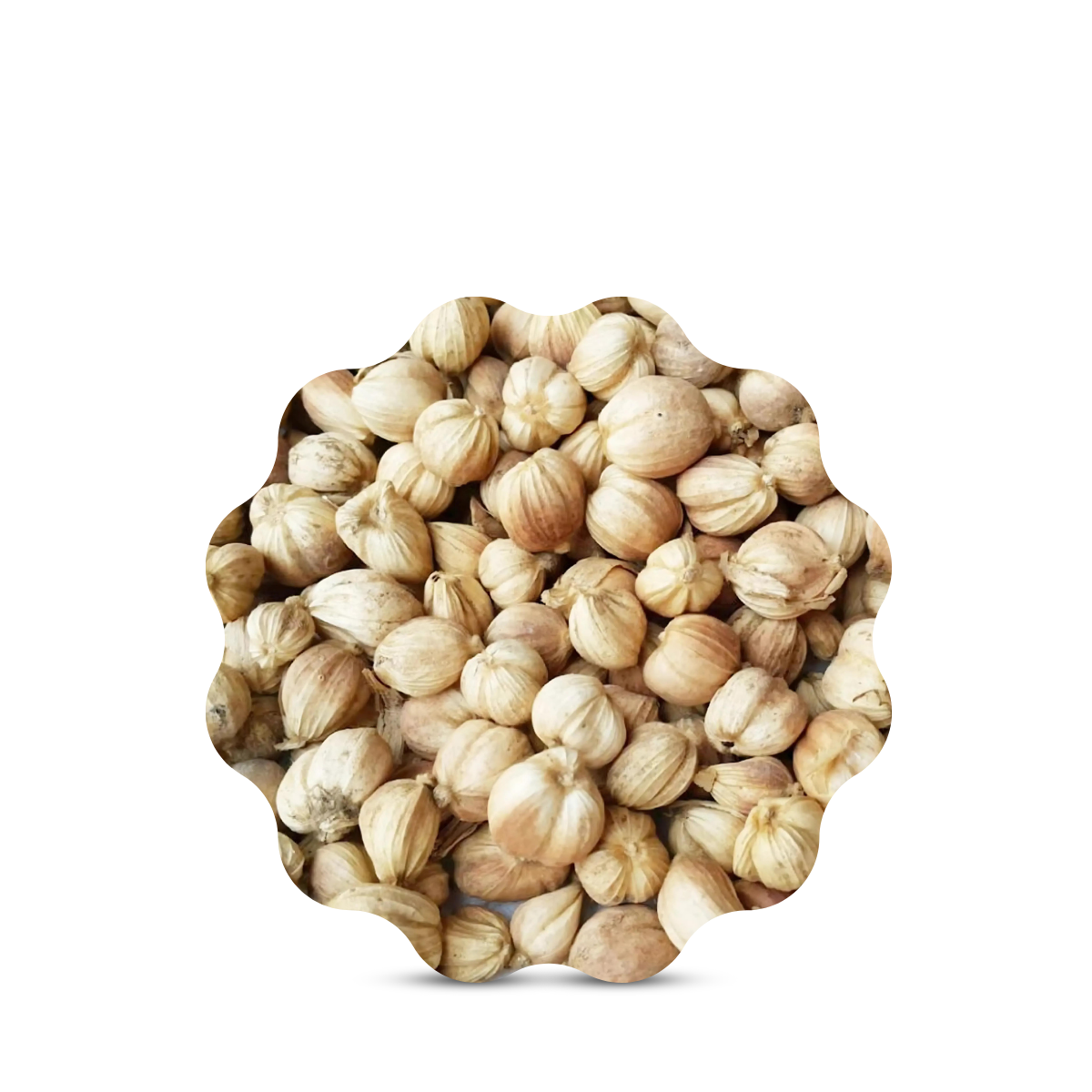 White Gol Morich - 50g